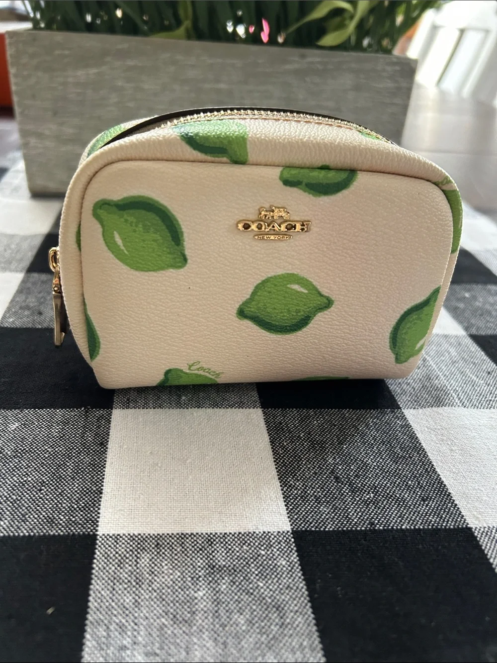 Coach Cream Cosmetic Pouch with Green Lime Print - Picture 1 of 5